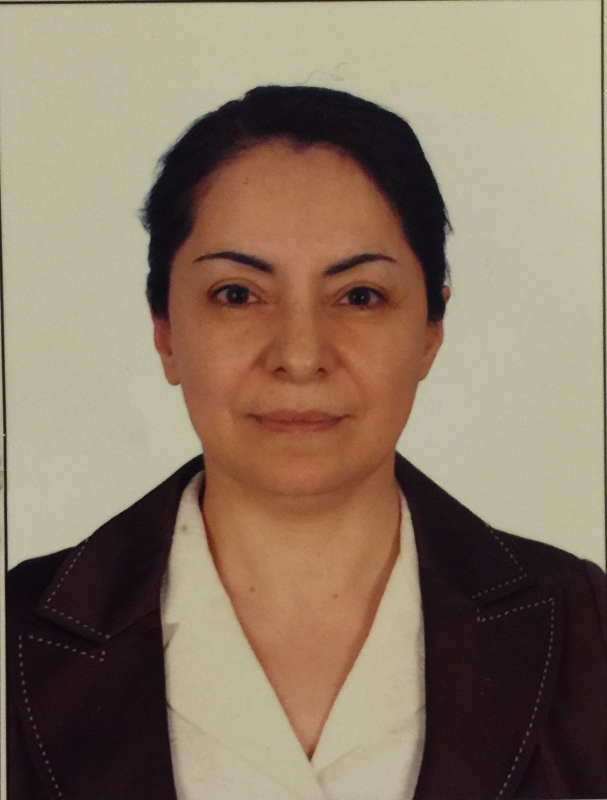 Kadriye bakirci oxford climate research network