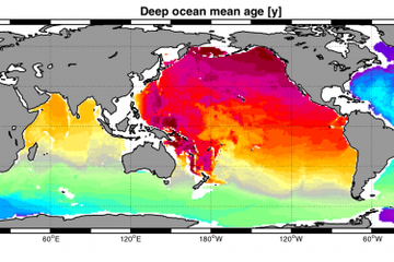 ocean biogeochemical modelling