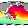 ocean biogeochemical modelling