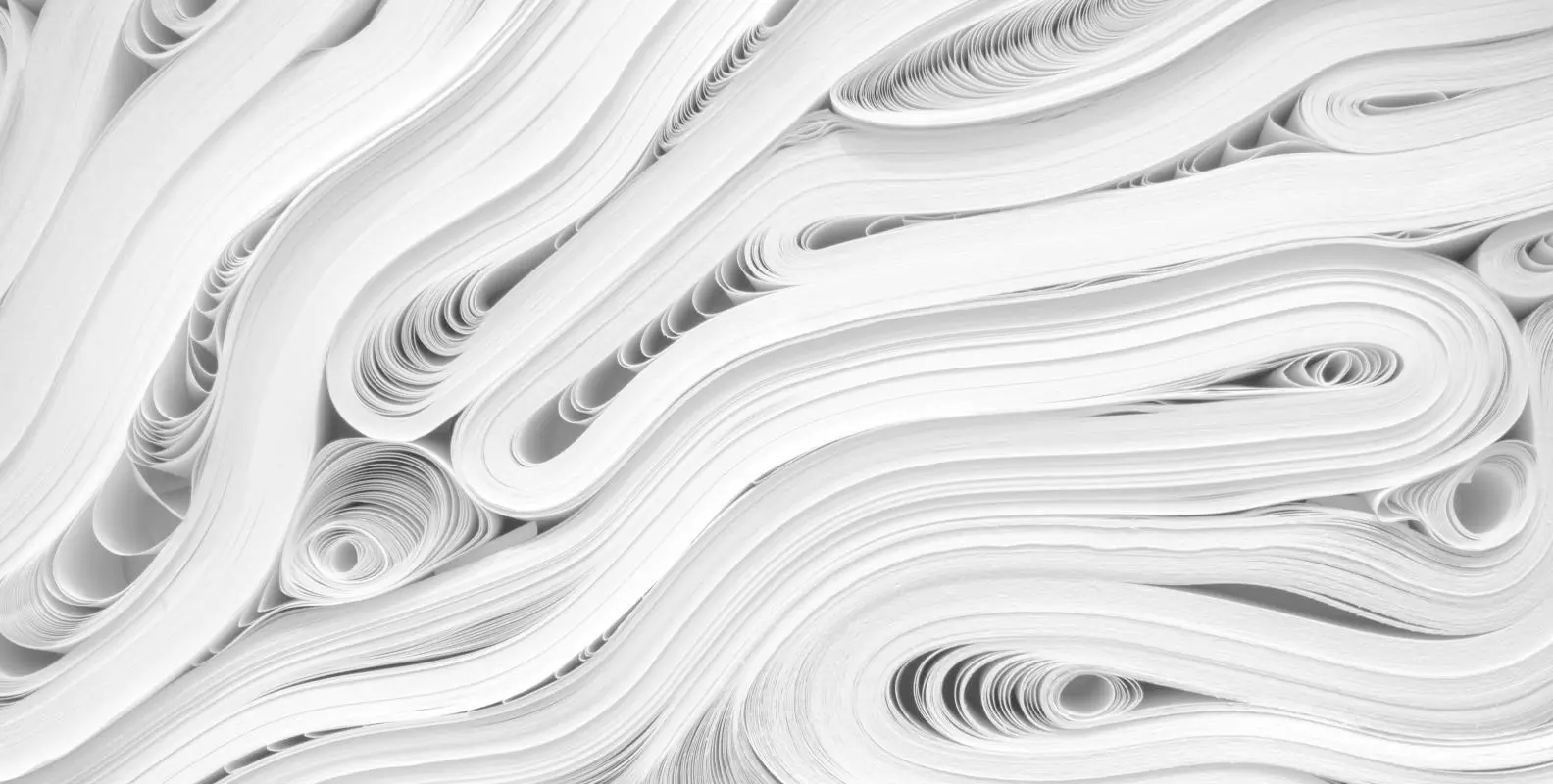 Rolls of paper