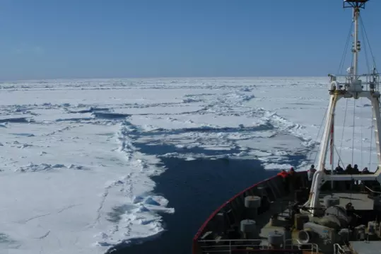 biological oceanography