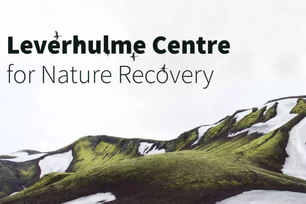 leverhulme centre for nature recovery